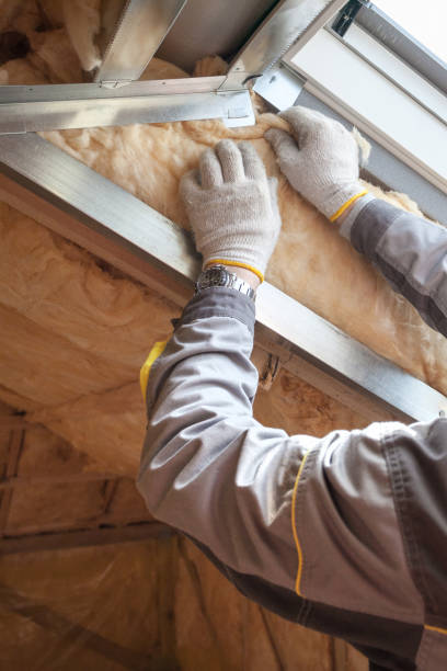 Best DIY Insulation Kits and Guidance in South Les, AK