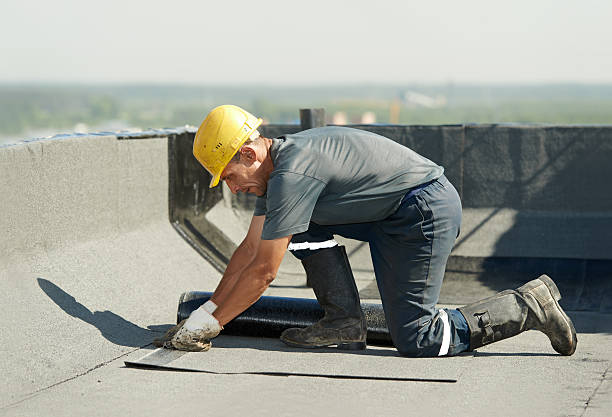 Best Cellulose Insulation in South Les, AK