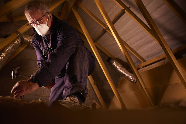 Best Geographic-Specific Insulation Services in South Les, AK